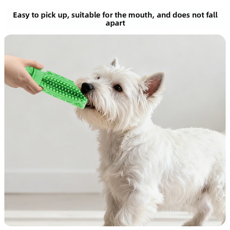 Teeth Cleaning Dog Chew Bone - Jouet à mâcher pour le nettoyage