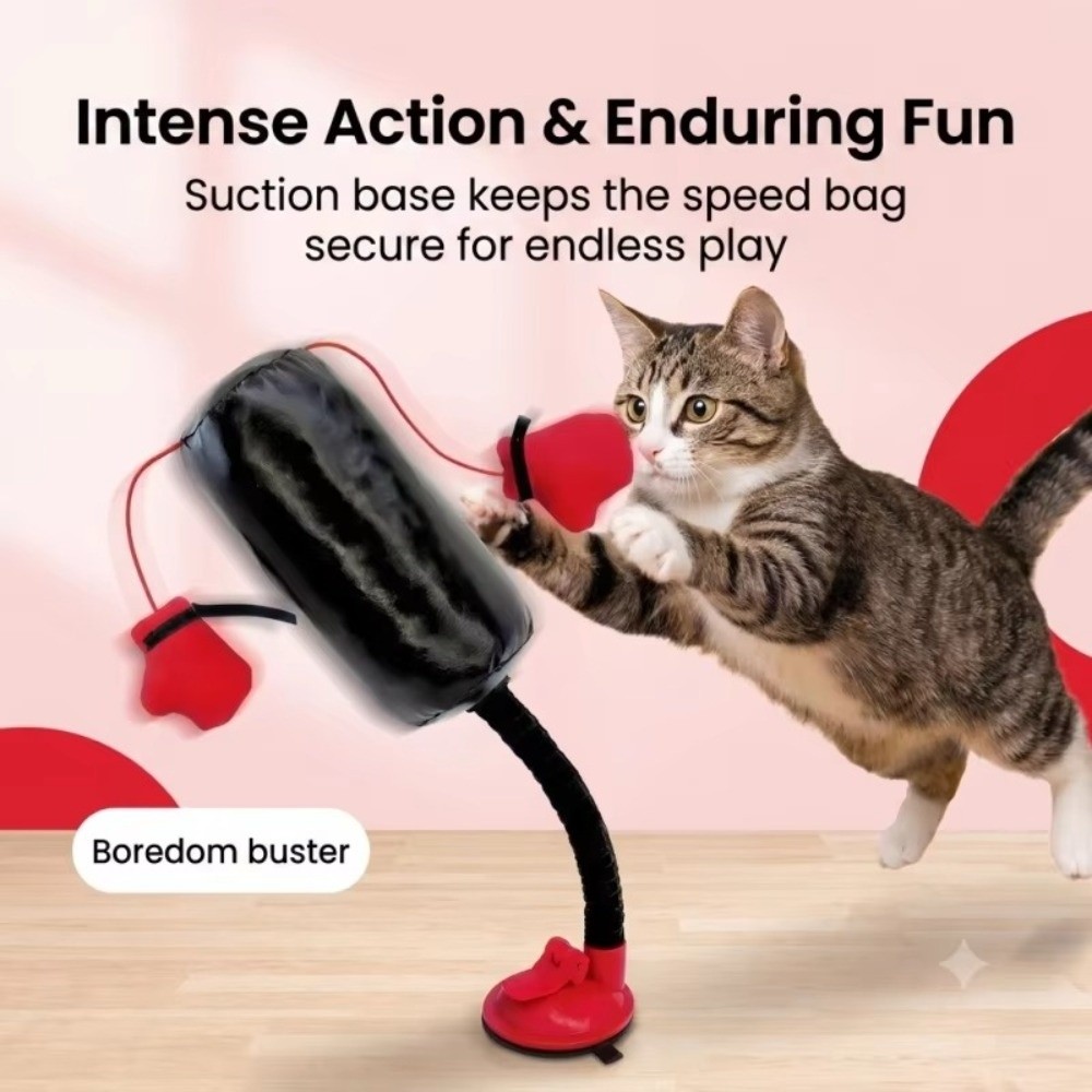 Interactive Squeaky Plush Dog Toy - Jouet de boxe pour chat sur