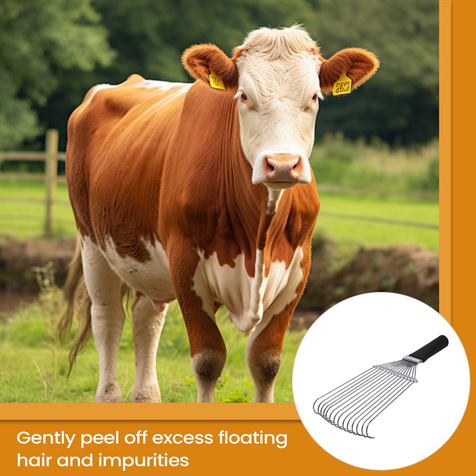 Pet Grooming - Râteau de toilettage pour chevaux, brosse