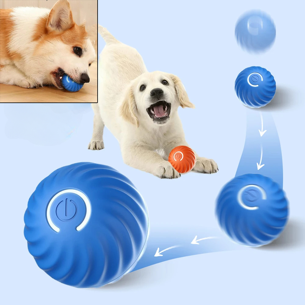 Suction Cup Dog Tug Toy - Balle de jeu pour chien, balle