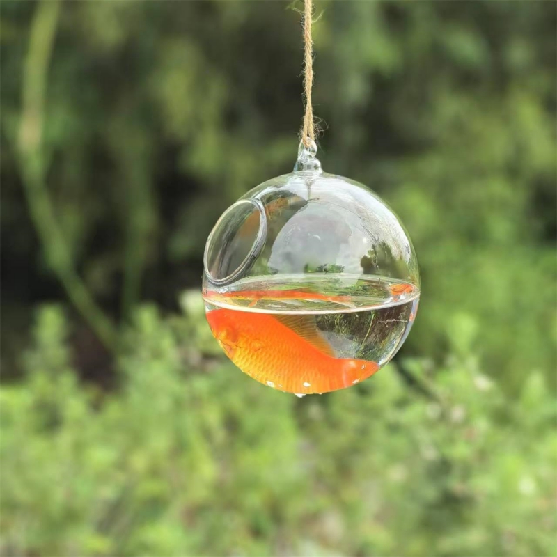 Aquarium - Petit terrarium en verre transparent de