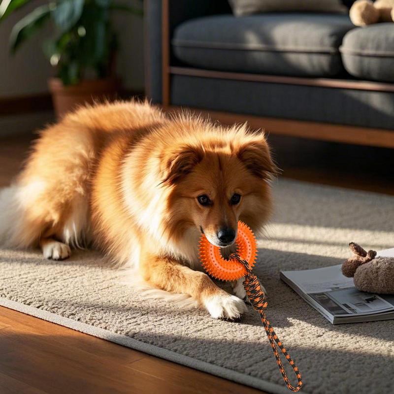 Dog Rope Toy Aggressive Chewers - Jouets grinçants pour chiens, anneau pointu