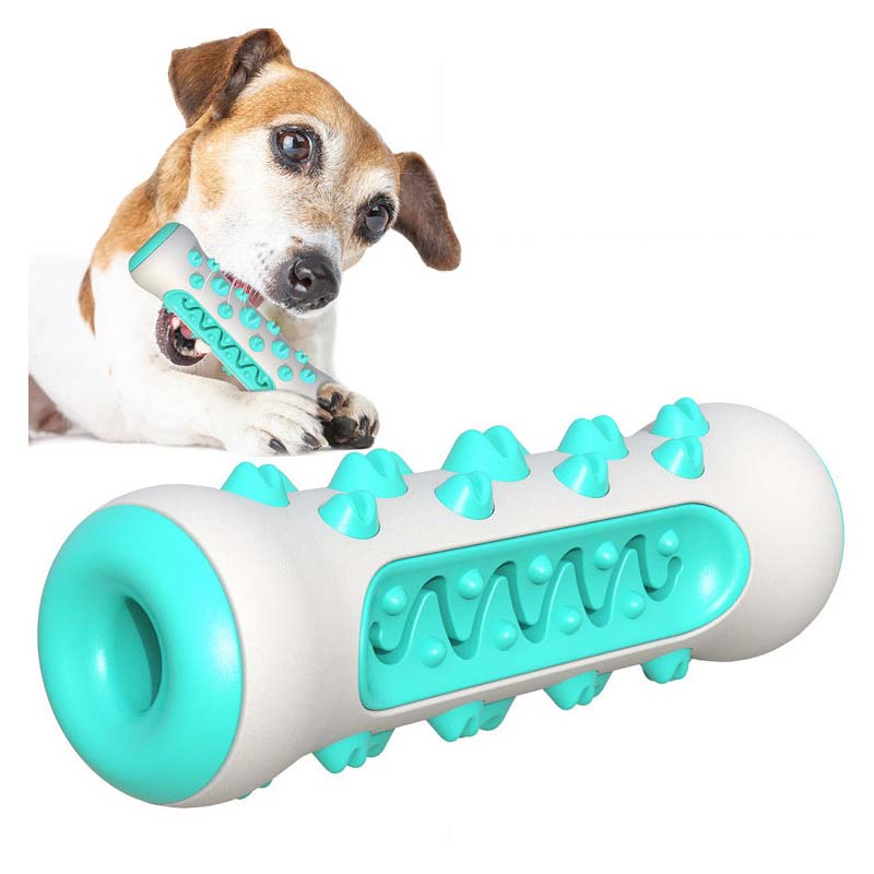 Teeth Cleaning Dog Chew Bone - Bâtonnet molaire pour chien en TPR,
