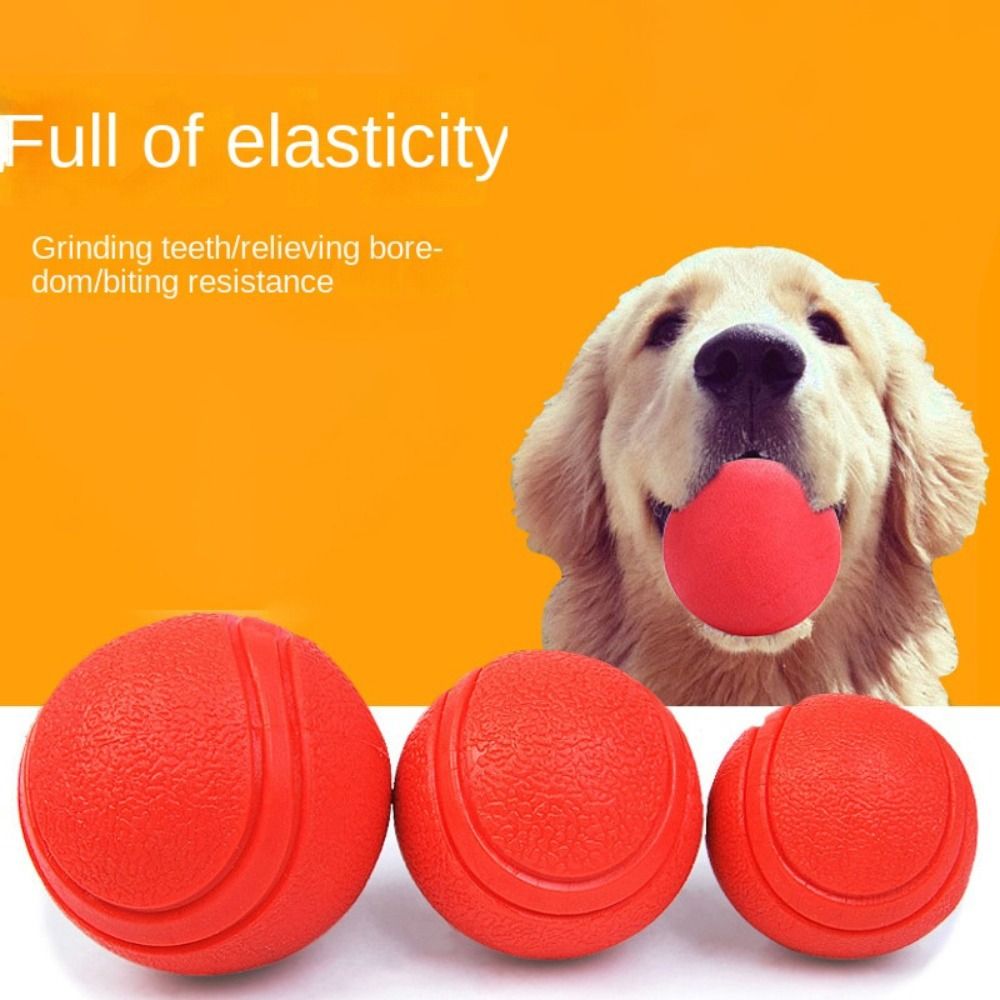 Indestructible Dog Chew Toy - Balle d'entraînement en caoutchouc solide pour
