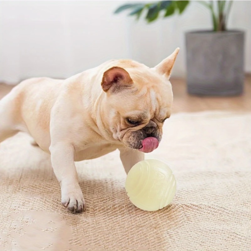 Balle pour chien en caoutchouc - Indestructible Dog Chew Toy avis et prix