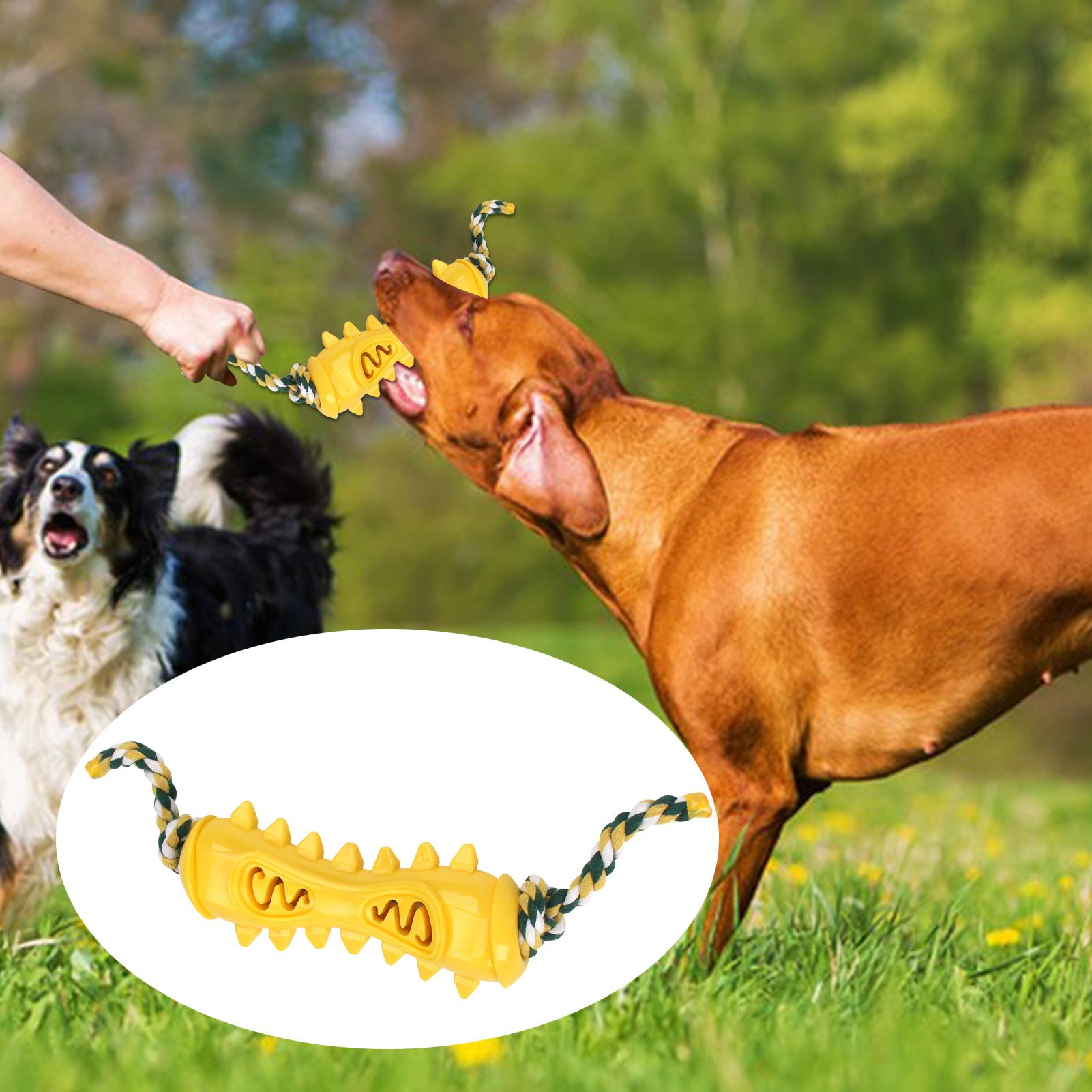 Jouets à mâcher pour mâcher ag - Dog Rope Toy Aggressive Chewers avis et prix