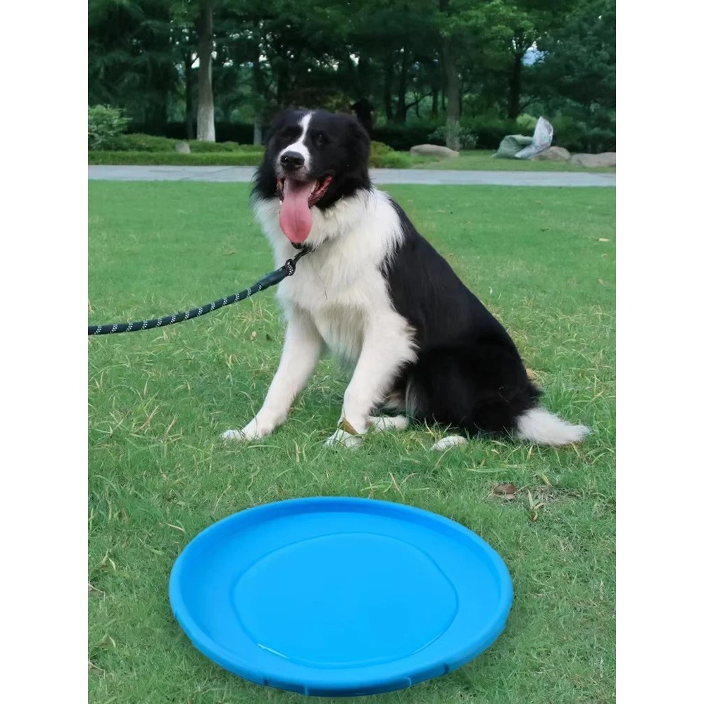 Disque volant pour chien en TP - Flying Disc Dog Training Toy avis et prix