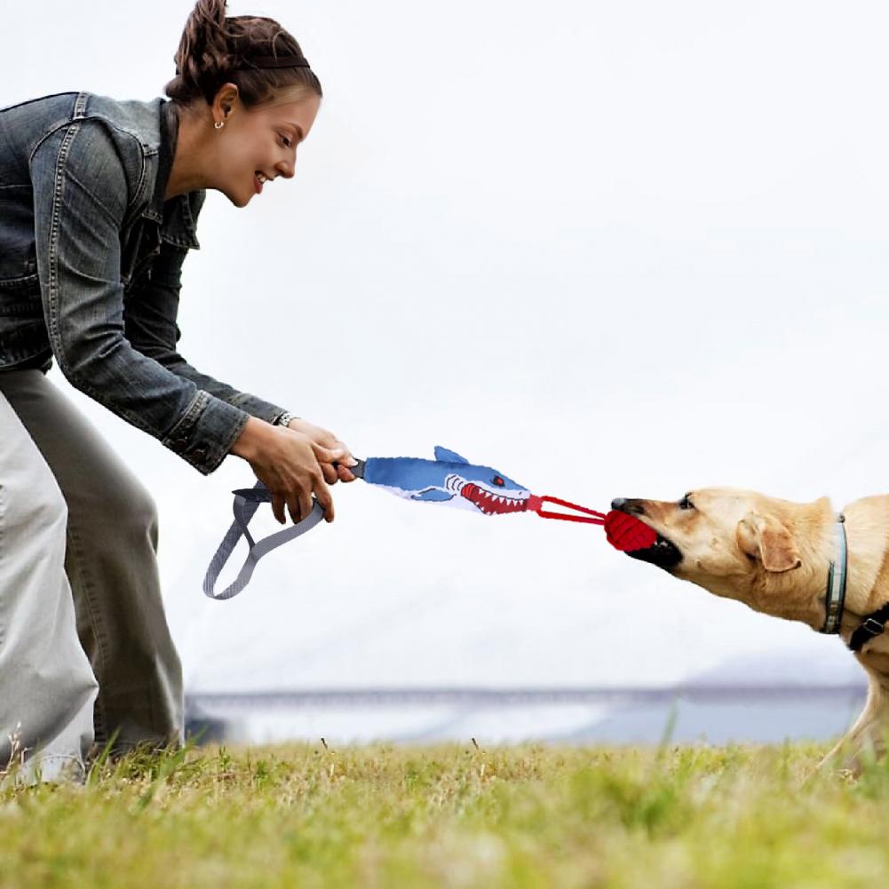 Jouet de tirage en corde Shark - Suction Cup Dog Tug Toy avis et prix