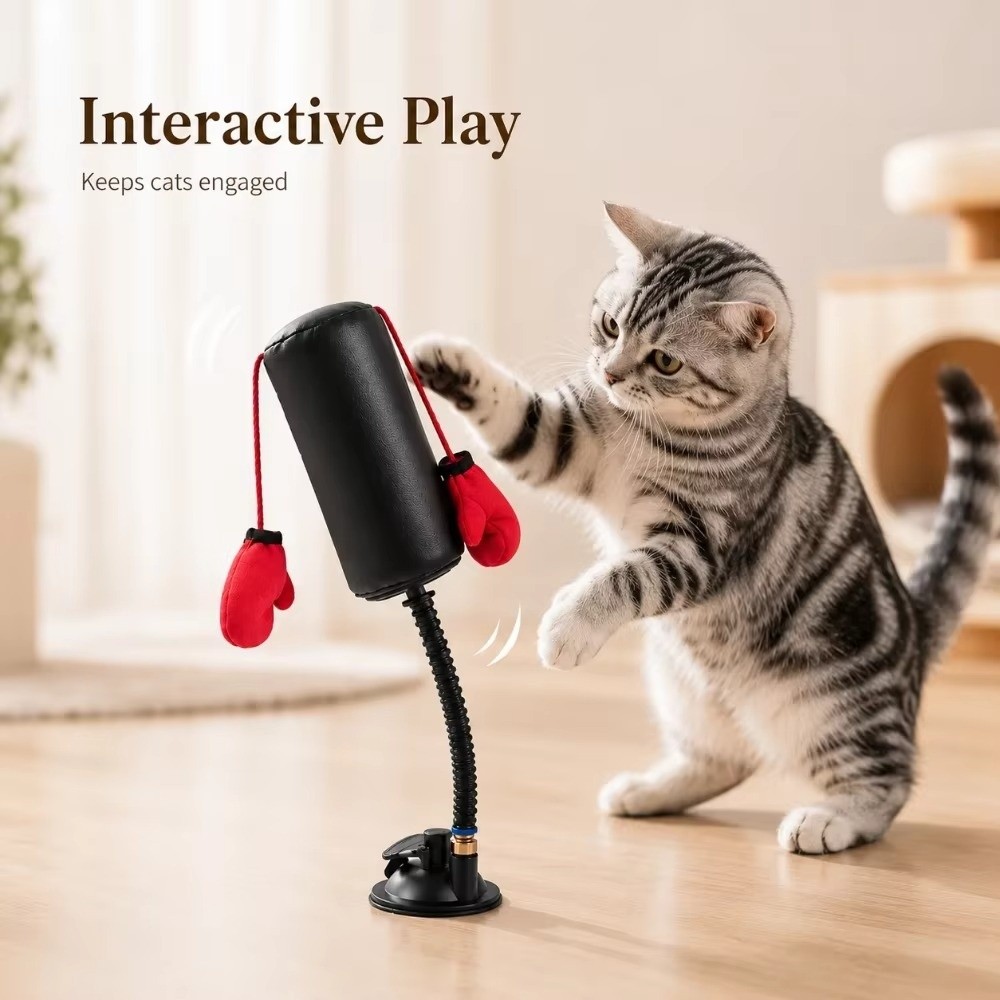 Jouet de boxe pour chat sur ba - Interactive Squeaky Plush Dog Toy avis et prix