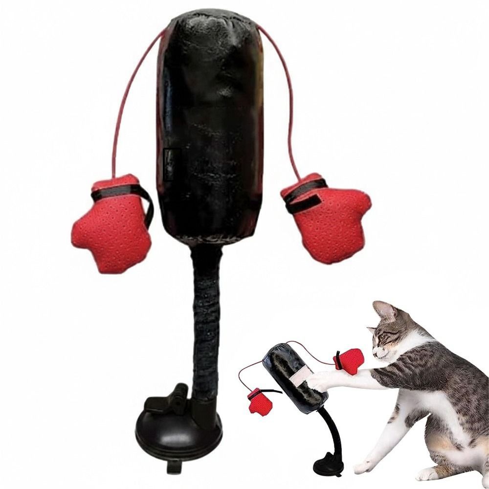Jouet de boxe pour chat sur ba - Interactive Squeaky Plush Dog Toy avis et prix