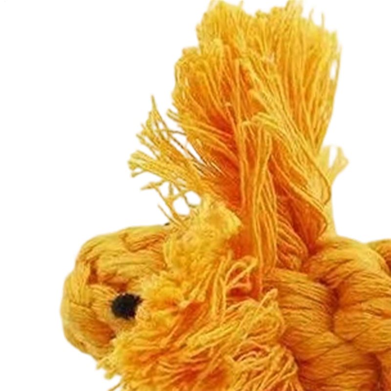 Corde pour chiens, 6 pièces, e - Dog Rope Toy Aggressive Chewers avis et prix