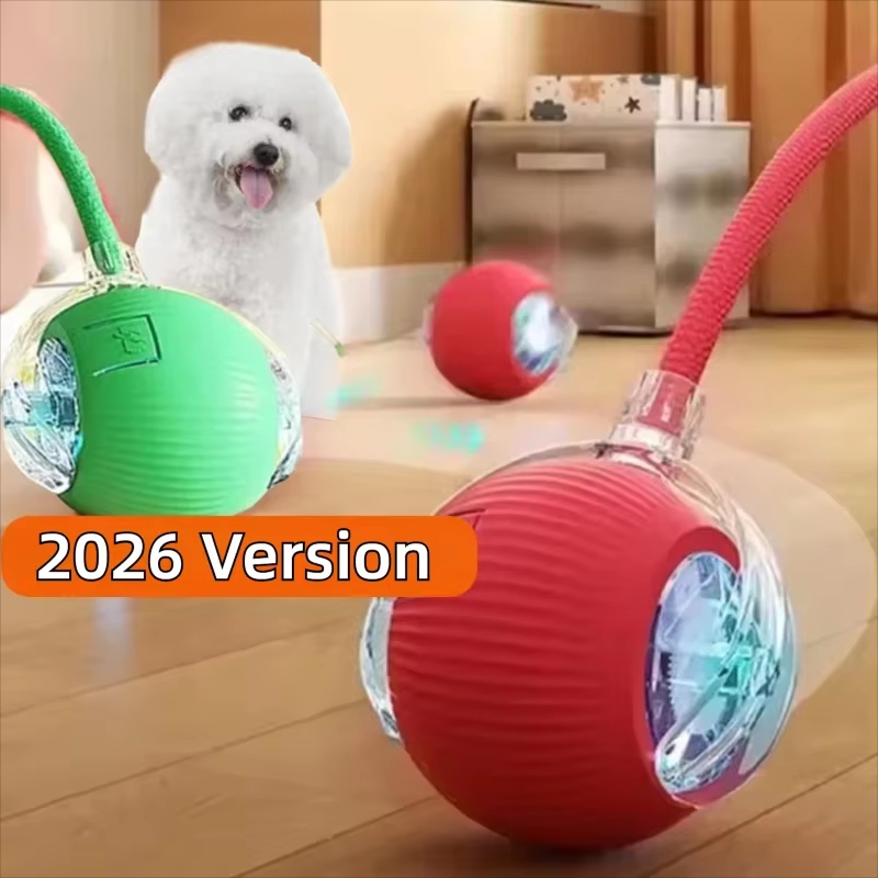 Nouveau jouet interactif pour  - Automatic Moving Dog Ball avis et prix
