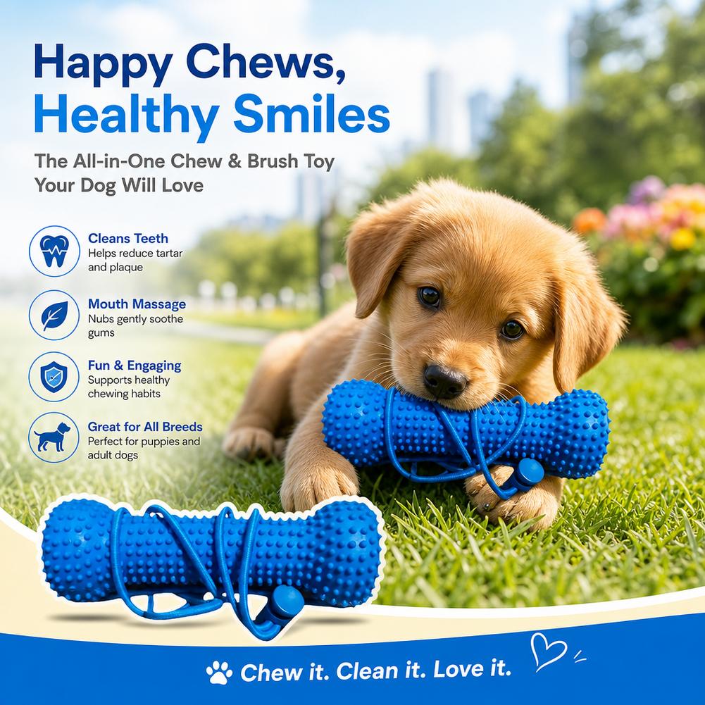 Jouet à mâcher pour le nettoya - Teeth Cleaning Dog Chew Bone avis et prix