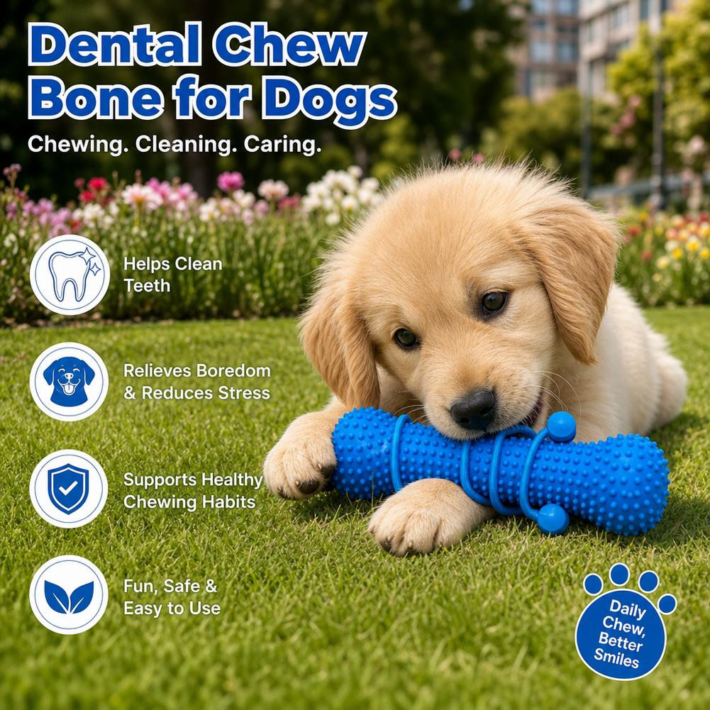 Jouet à mâcher pour le nettoya - Teeth Cleaning Dog Chew Bone avis et prix