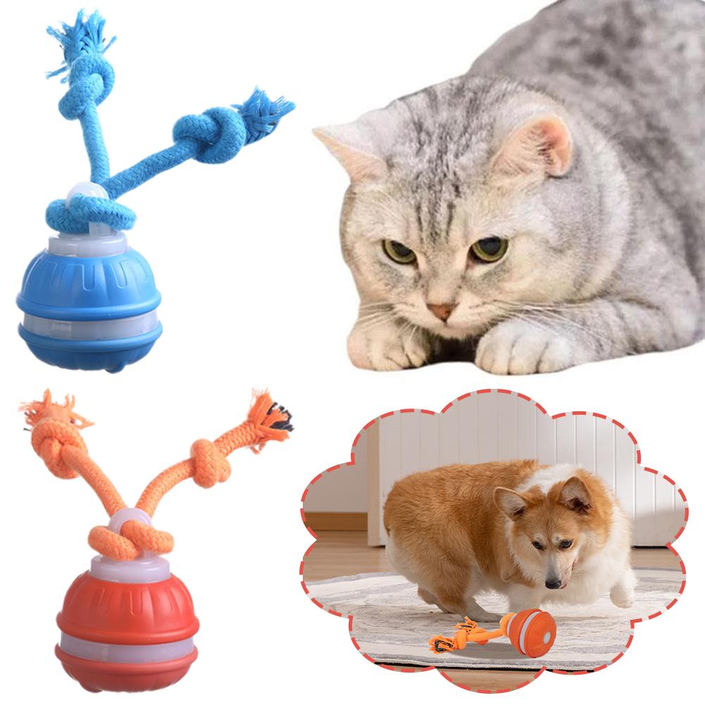 Boule de chien intelligente Re - Automatic Moving Dog Ball avis et prix