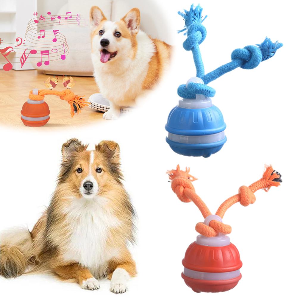 Boule de chien intelligente Re - Automatic Moving Dog Ball avis et prix