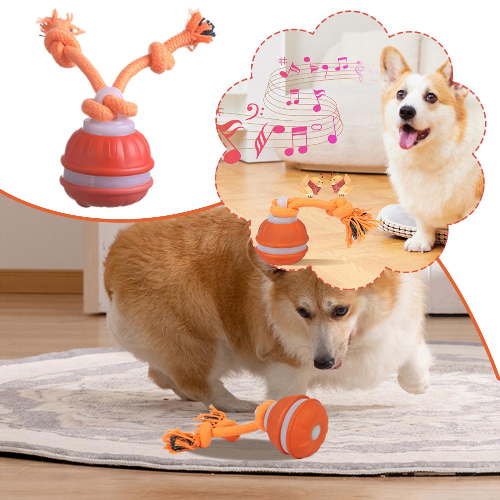 Boule de chien intelligente Re - Automatic Moving Dog Ball avis et prix
