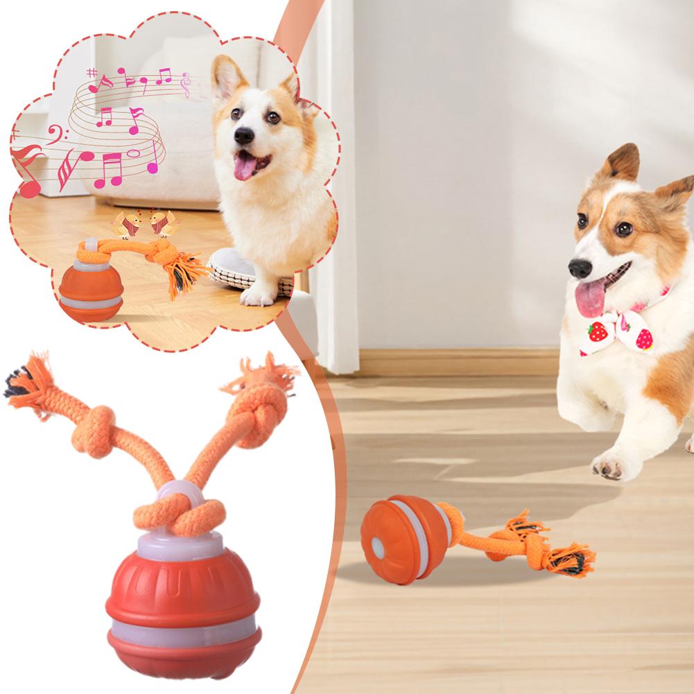 Boule de chien intelligente Re - Automatic Moving Dog Ball avis et prix
