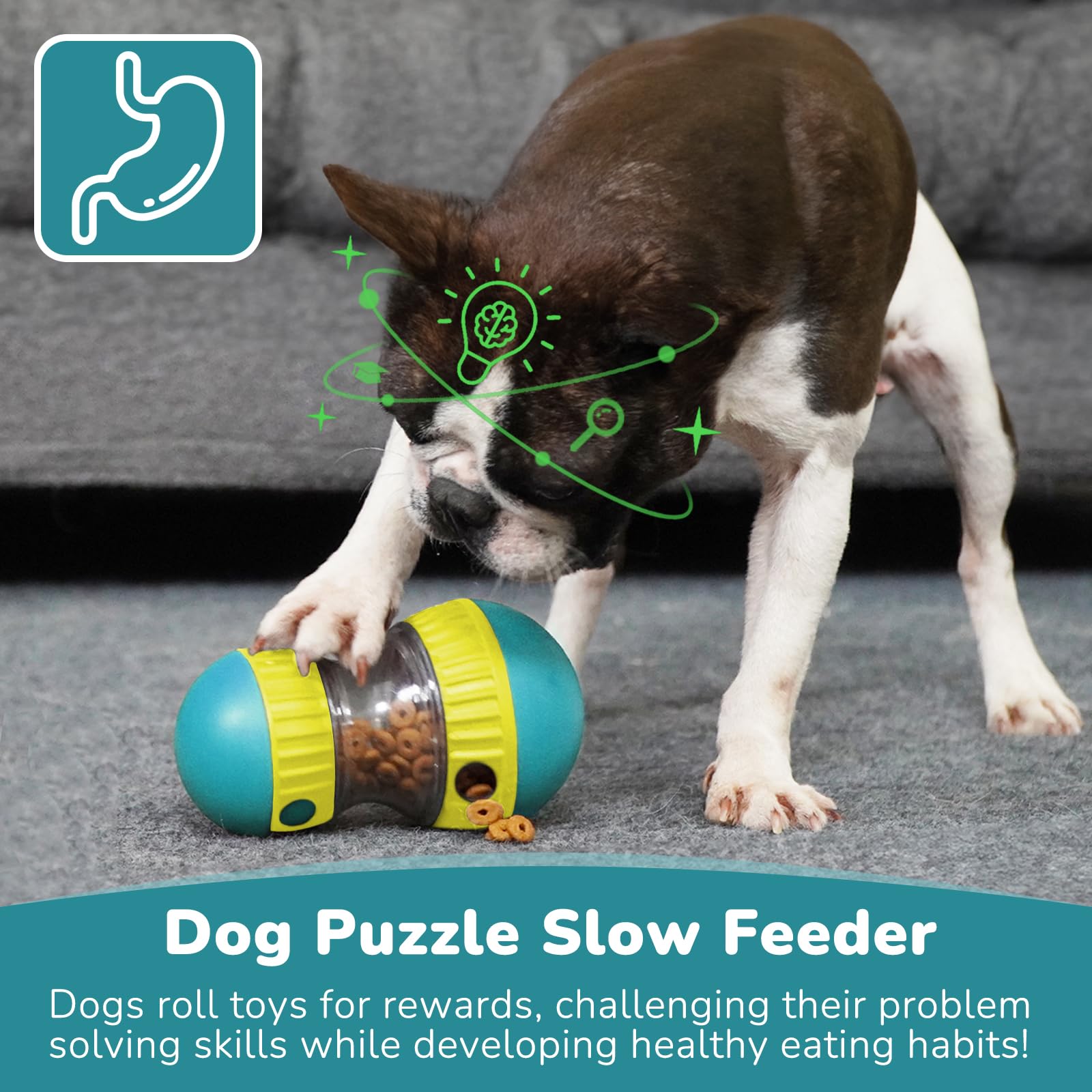 Jouets pour chiens et balle d' - Snuffle Mat For Dogs avis et prix