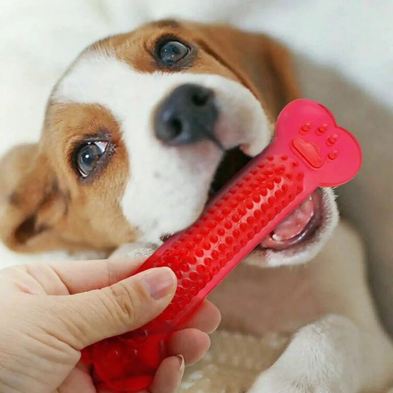 Jouet à mâcher en os de chien  - Teeth Cleaning Dog Chew Bone avis et prix
