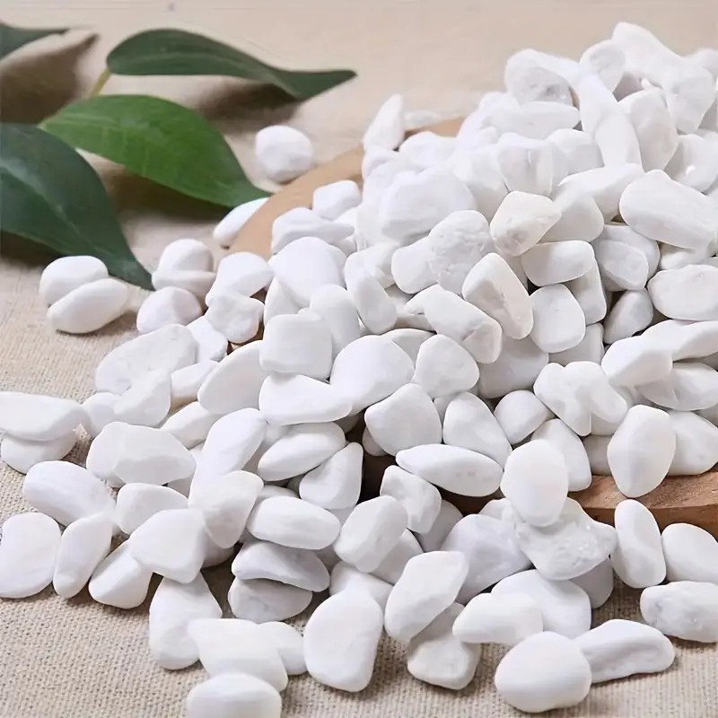 Orchidée succulente en perles  - Pet Beds avis et prix