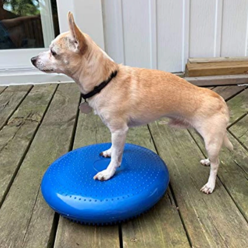 Jouet d'entraînement des organ - Flying Disc Dog Training Toy avis et prix