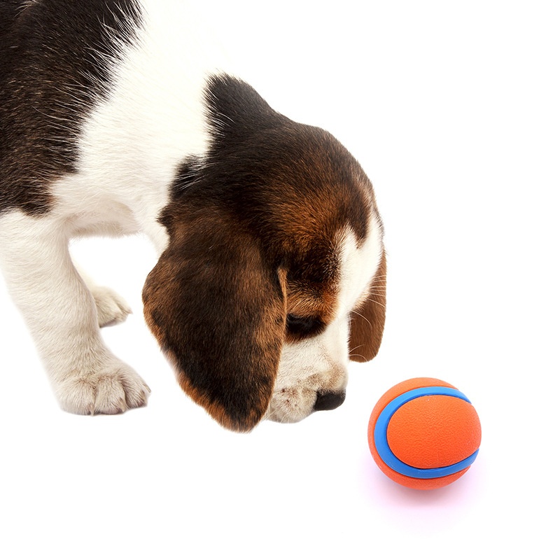 Balle de jouet robuste pour ch - Indestructible Dog Chew Toy avis et prix