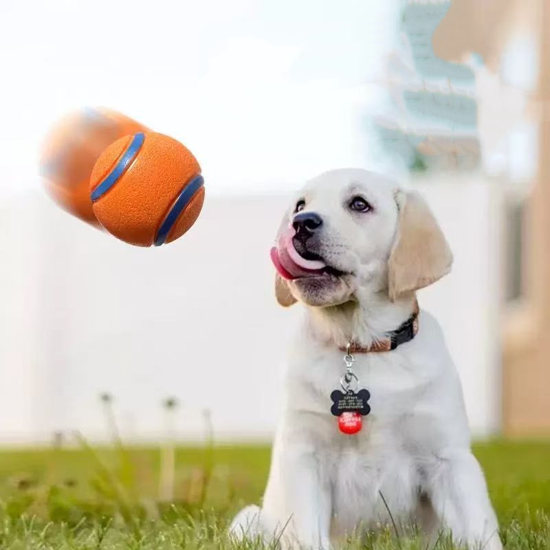 Balle de jouet robuste pour ch - Indestructible Dog Chew Toy avis et prix