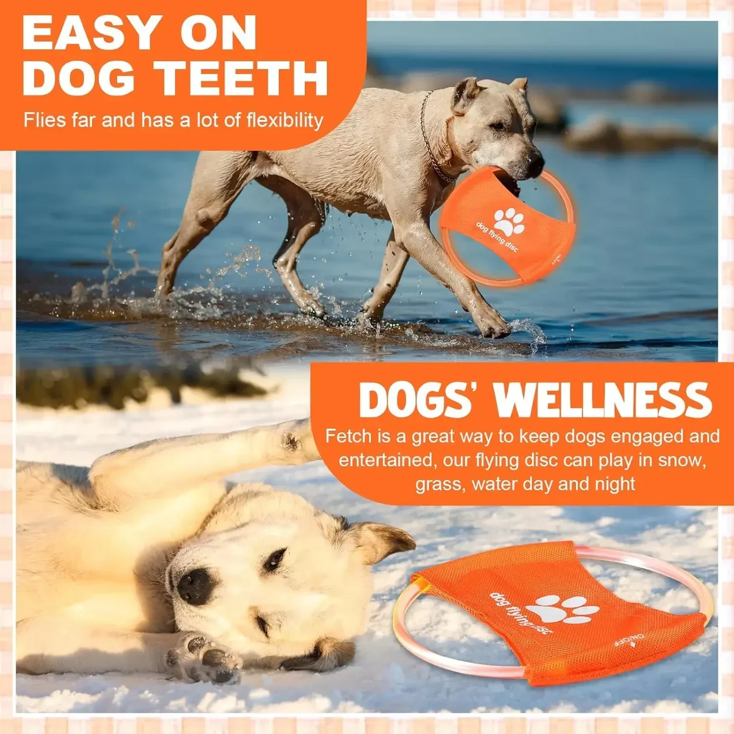 Jouet pour chien LED brillant  - Flying Disc Dog Training Toy avis et prix