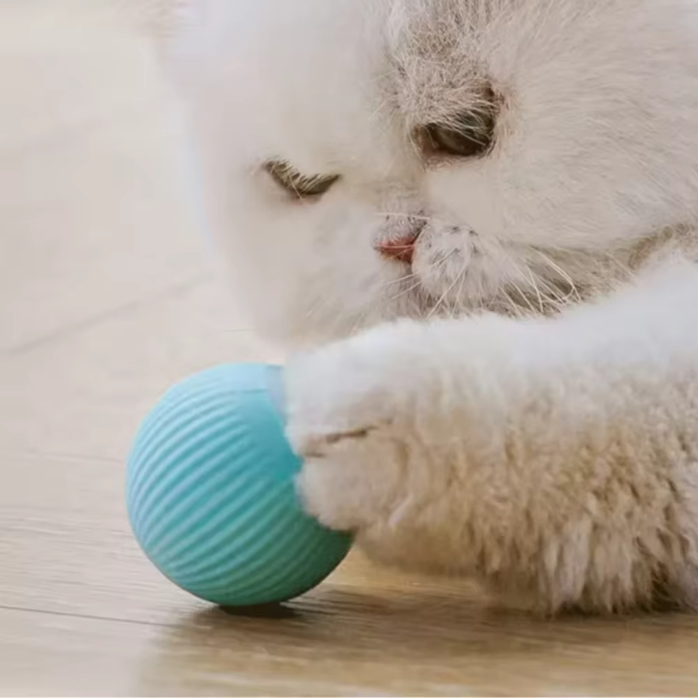 Balle mobile automatique pour  - Automatic Moving Dog Ball avis et prix