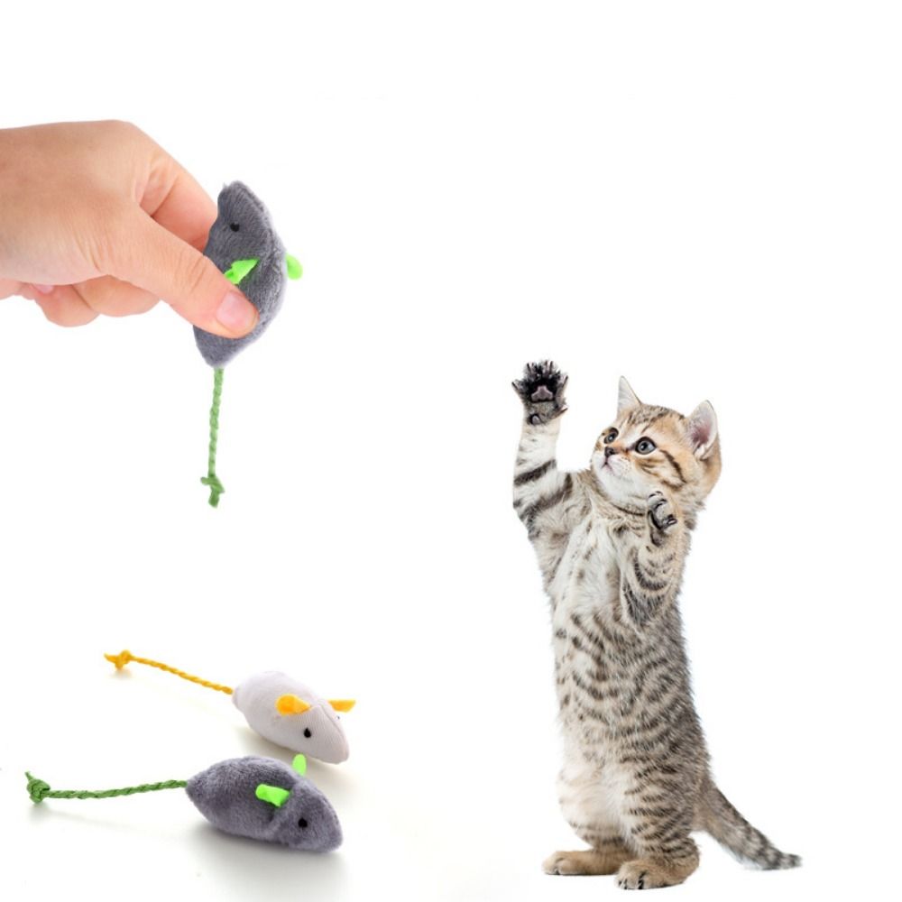 Jouet d'entraînement pour chat - Catnip Interactive Plush Mouse avis et prix