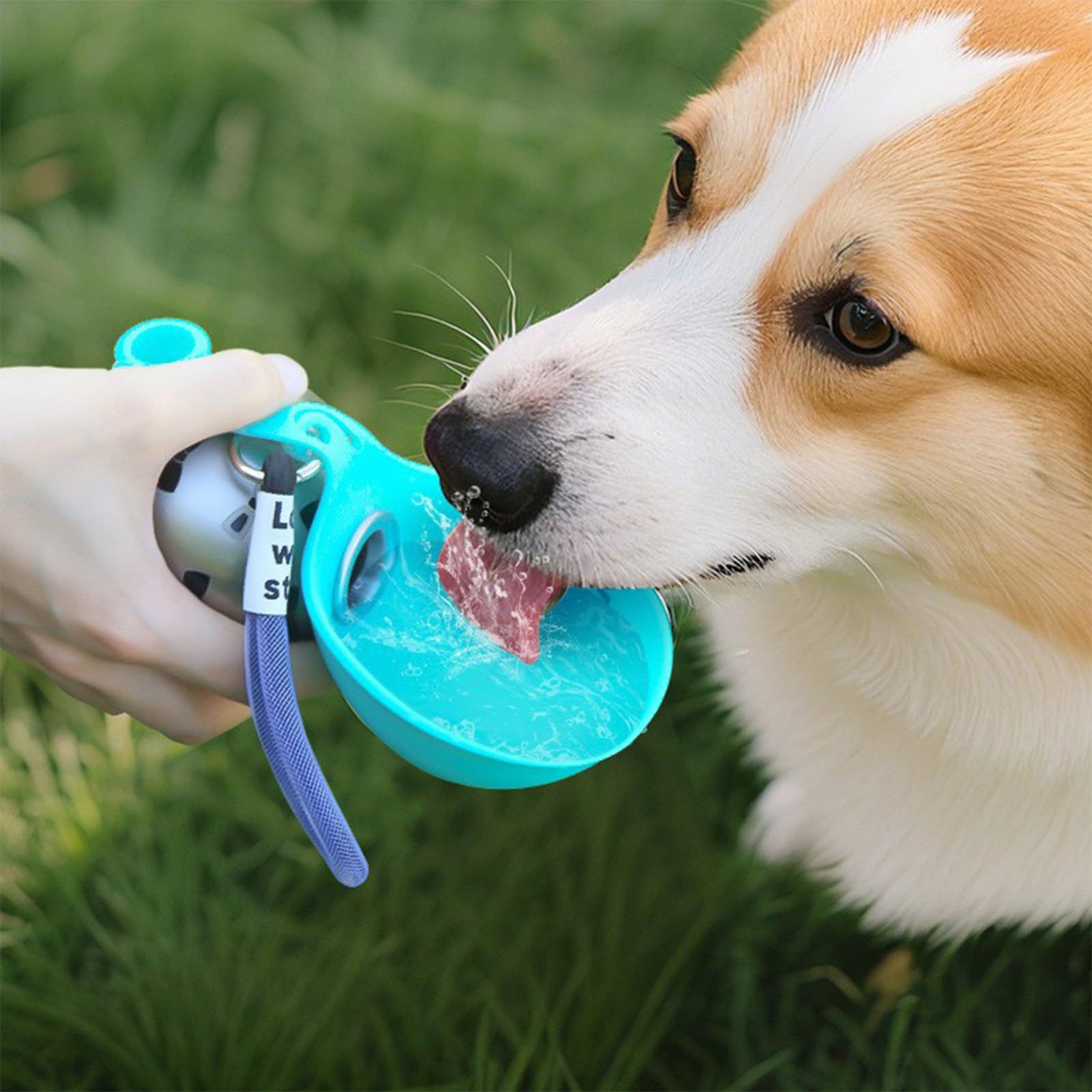 Distributeur d'eau portable en - Pet Feeders avis et prix