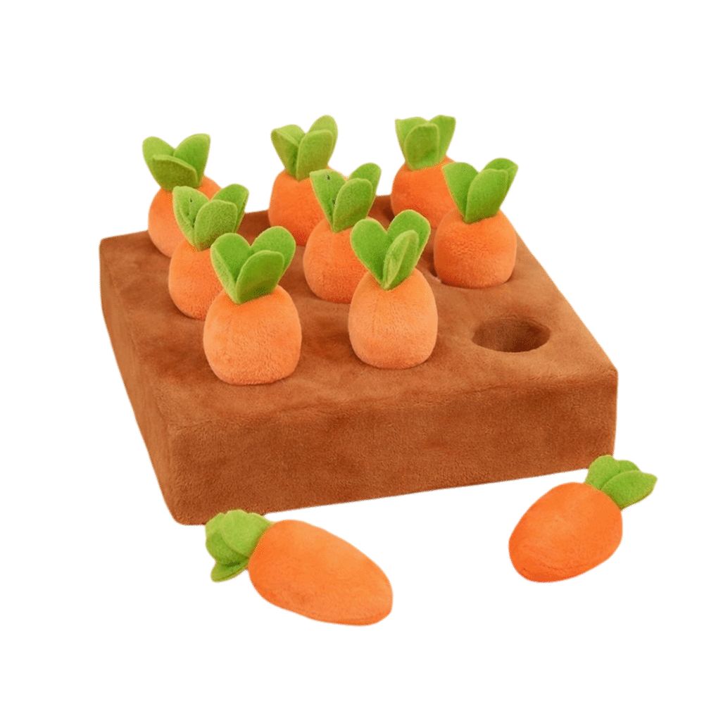 Tapis olfactif anti-stress pou - Snuffle Mat For Dogs avis et prix