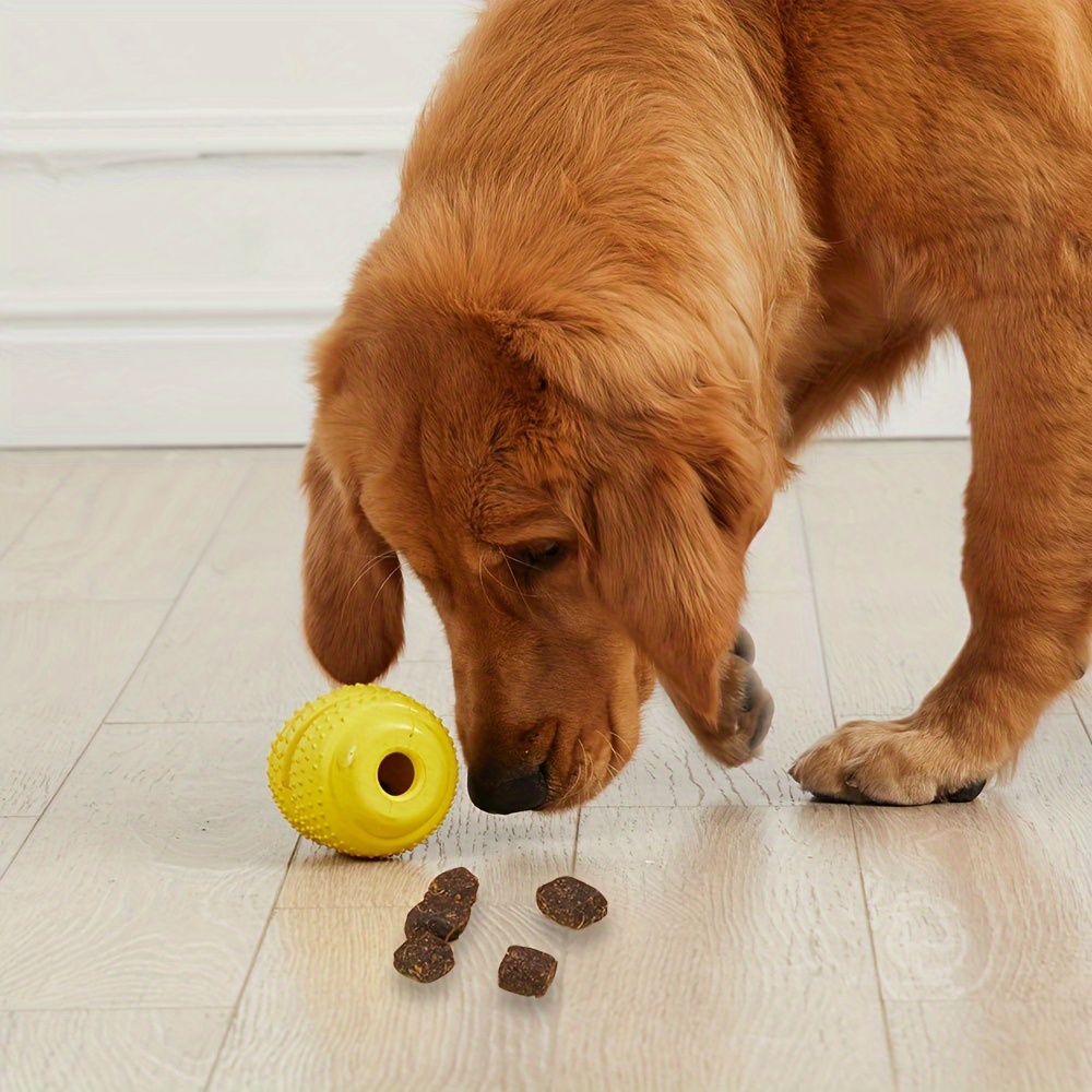 Jouet à mâcher en caoutchouc D - Rubber Treat Dispensing Dog Toy avis et prix