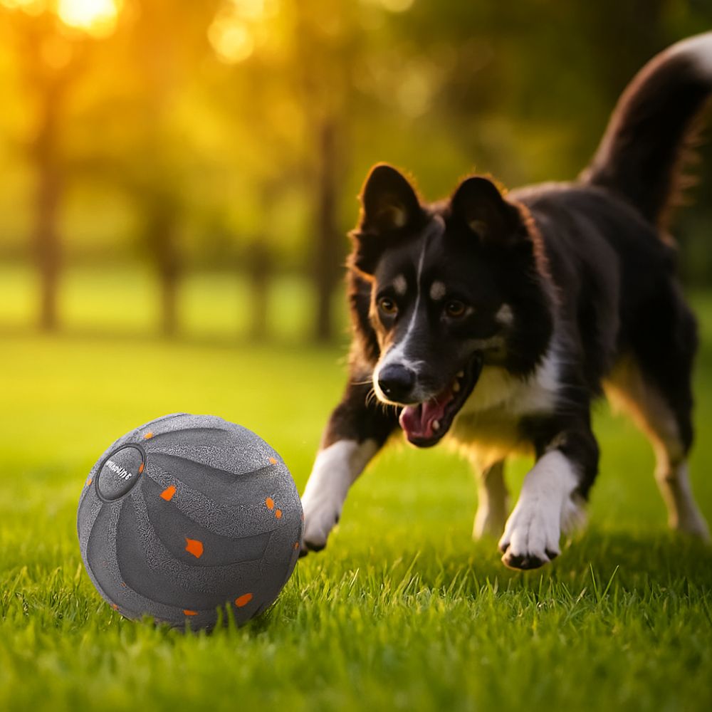 Balle de jouet intelligente po - Automatic Moving Dog Ball avis et prix