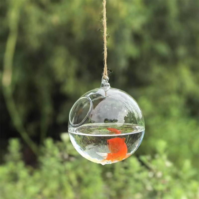 Petit terrarium en verre trans - Aquarium avis et prix