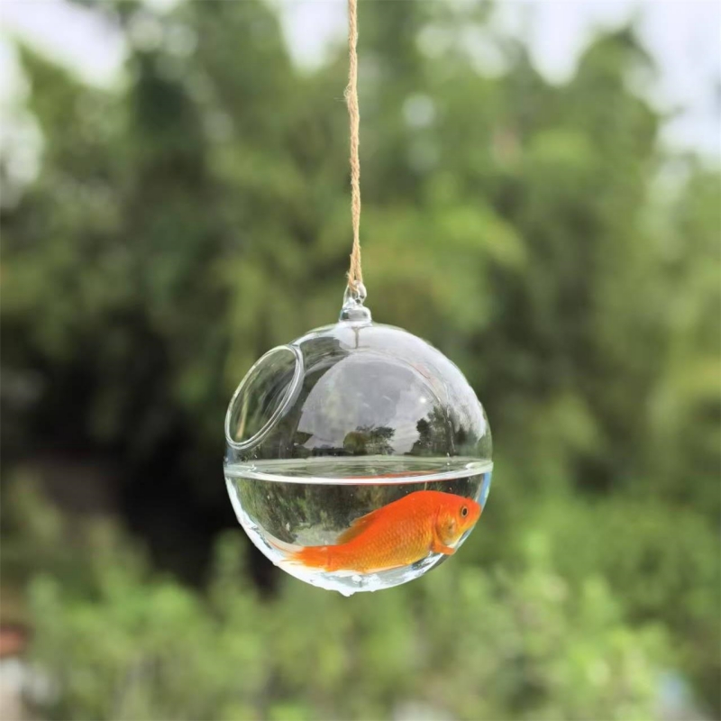 Petit terrarium en verre trans - Aquarium avis et prix