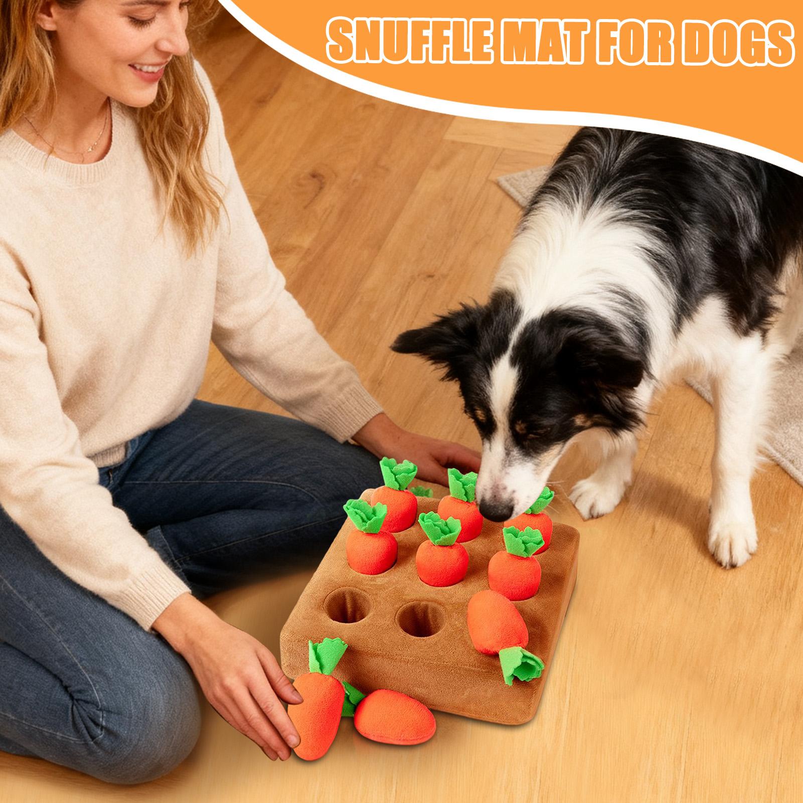 Tapis de reniflement pour chio - Snuffle Mat For Dogs avis et prix