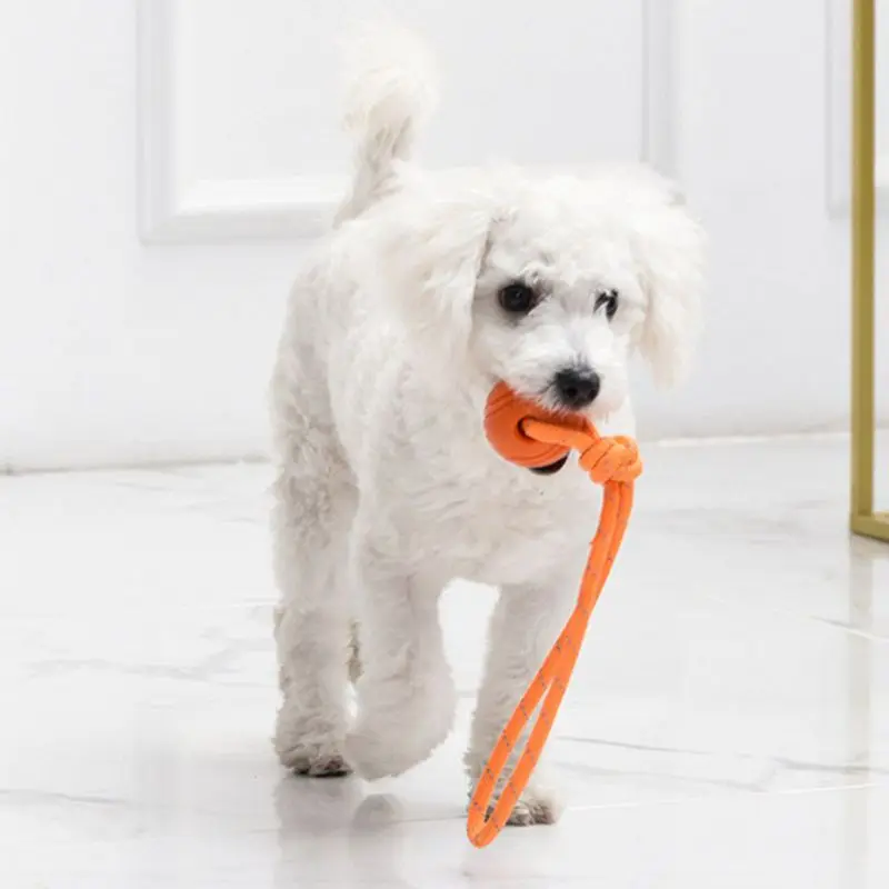 Balle d'Entraînement pour Chie - Suction Cup Dog Tug Toy avis et prix