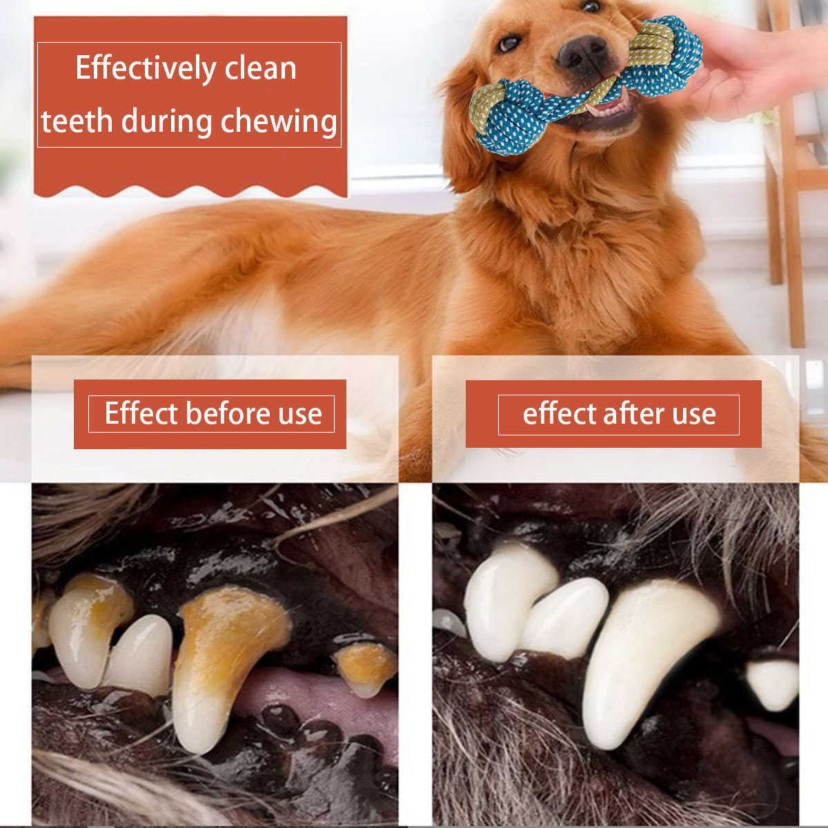 Nouveau 7 pièces chien chiot D - Teeth Cleaning Dog Chew Bone avis et prix