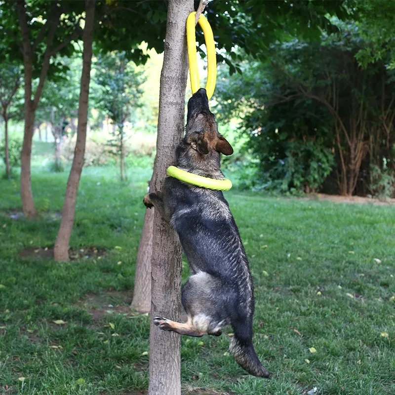 /05/2019 volants OligDog pour  - Suction Cup Dog Tug Toy avis et prix