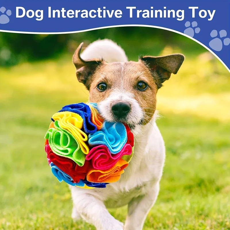 Jouets interactifs pour chiens - Snuffle Mat For Dogs avis et prix
