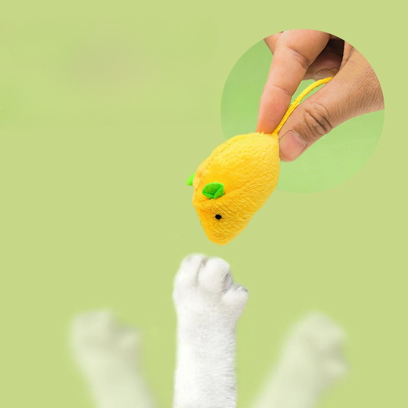 Jouets interactifs pour chat,  - Catnip Interactive Plush Mouse avis et prix