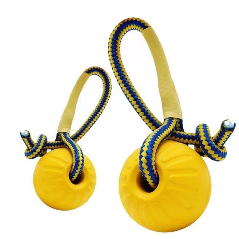 1 pièce Jouet à mâcher pour ch - Indestructible Dog Chew Toy avis et prix