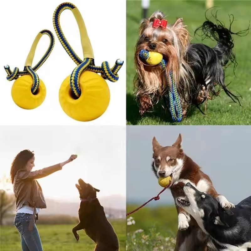 1 pièce Jouet à mâcher pour ch - Indestructible Dog Chew Toy avis et prix