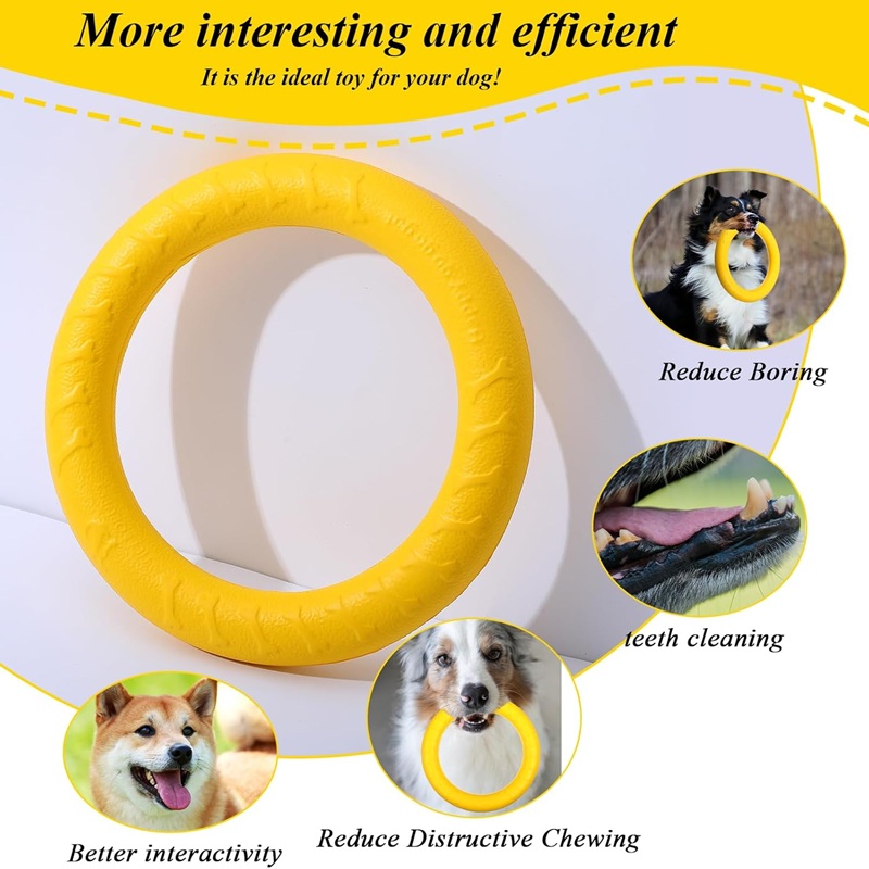 Jouets pour chiens, disques vo - Flying Disc Dog Training Toy avis et prix