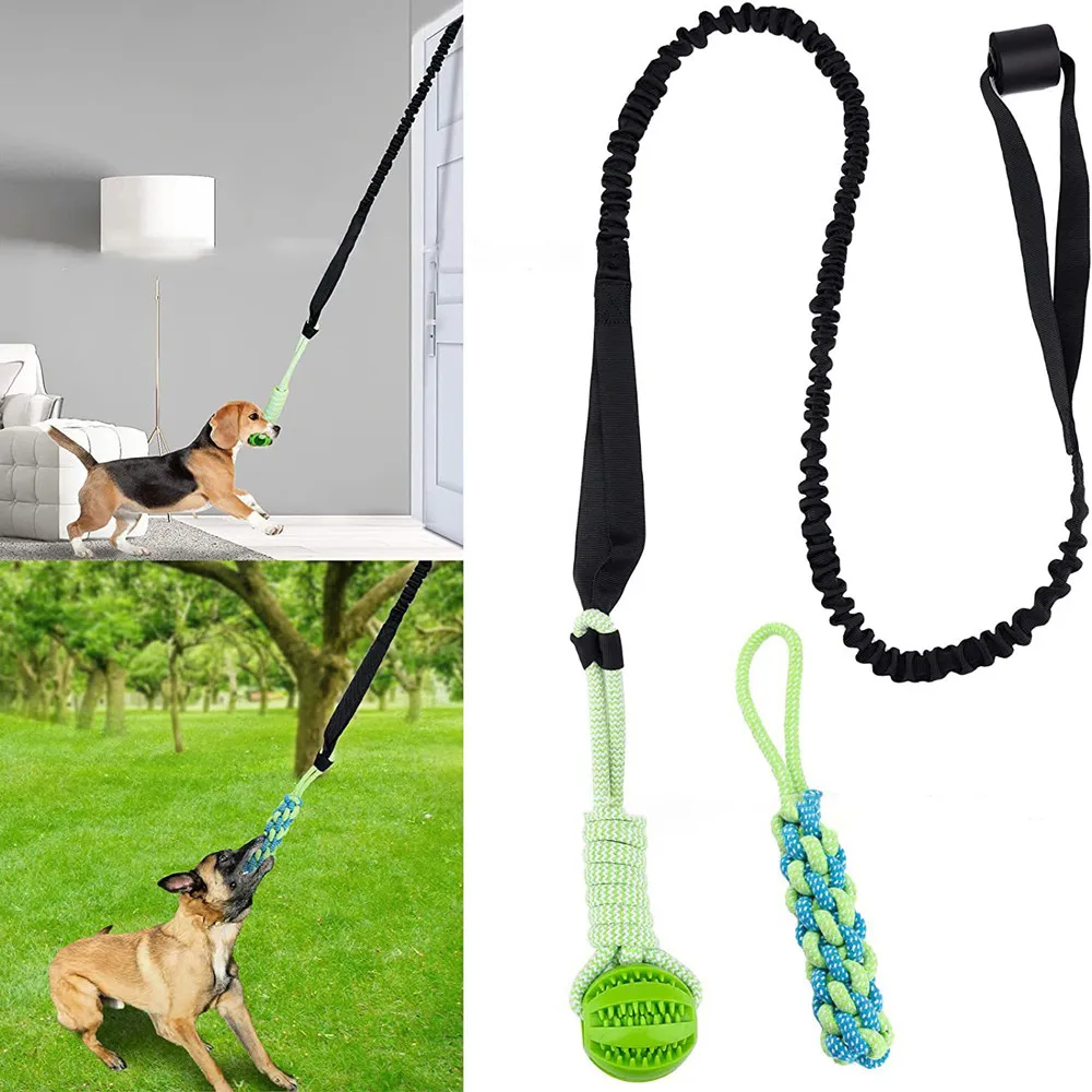 Jouet interactif pour chien, r - Suction Cup Dog Tug Toy avis et prix