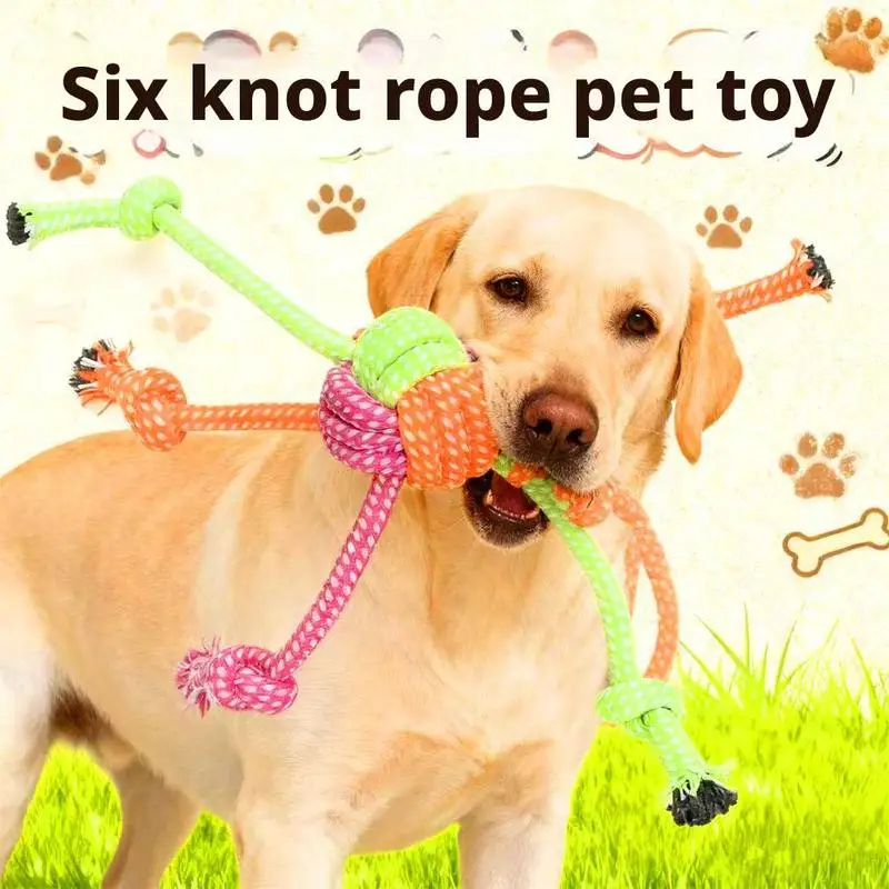 Jouet à mâcher durable pour ch - Dog Rope Toy Aggressive Chewers avis et prix