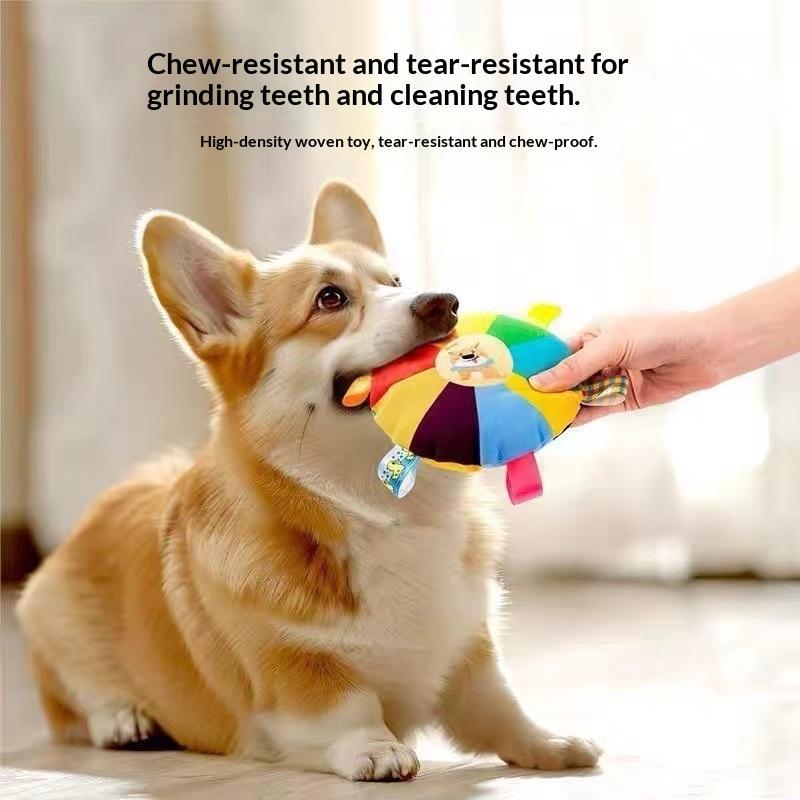 Disque volant interactif en pe - Flying Disc Dog Training Toy avis et prix