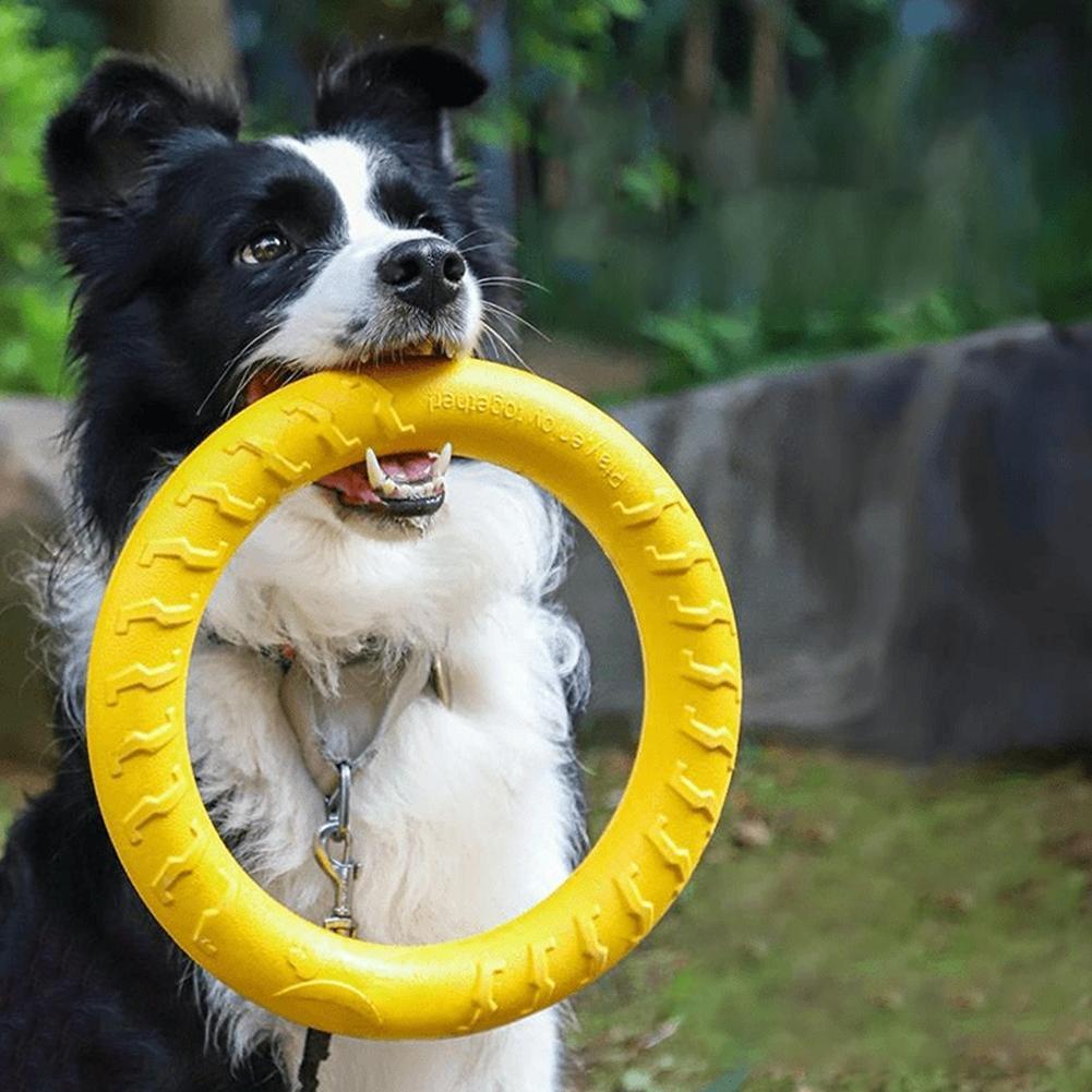 Jouets pour chiens : Anneaux i - Indestructible Dog Chew Toy avis et prix